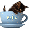 0151.gif
