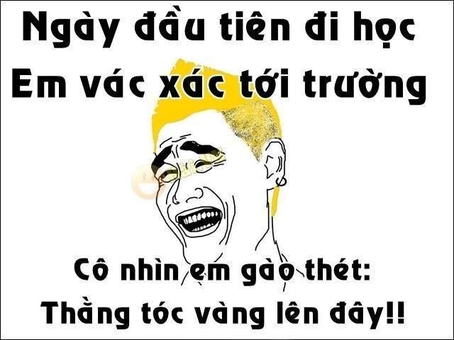 01bd994375a55ce6508d6345e9056d31.jpg
