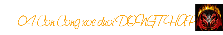 04DT.gif