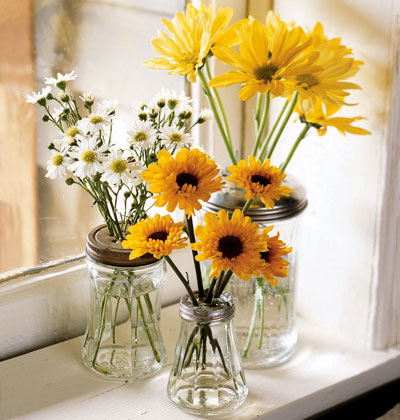 1083001_yellow-daisies_xl[1].jpg