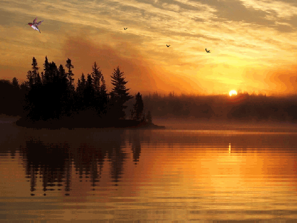 112530e3_2[1].gif