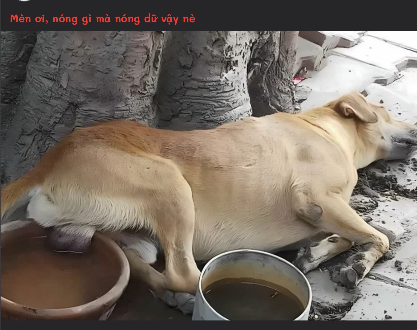 127358D4-CFDA-465E-BC33-9B285E836BDA.jpeg