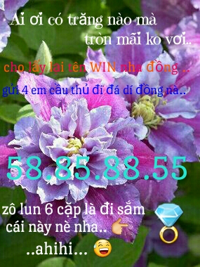 1493036773035.jpg