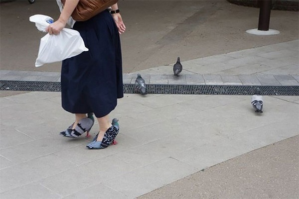 1495978788-149596693757920-japan-pigeon-shoes-1-8286-1495938624.jpg