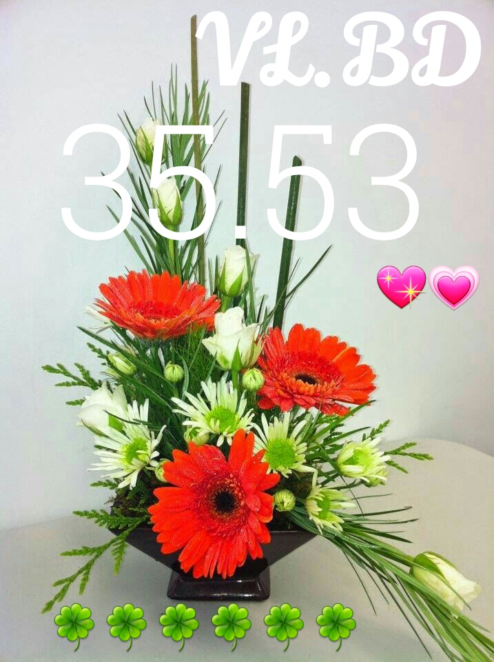 1499343525444.jpg