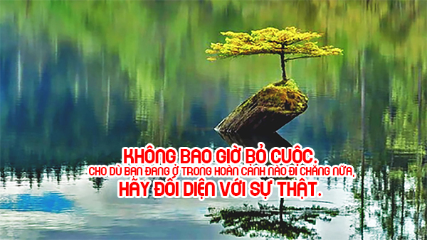 15-cau-noi-hay-tao-dong-luc-cho-ban-vuot-qua-kho-khan-hinh-anh-6.jpg