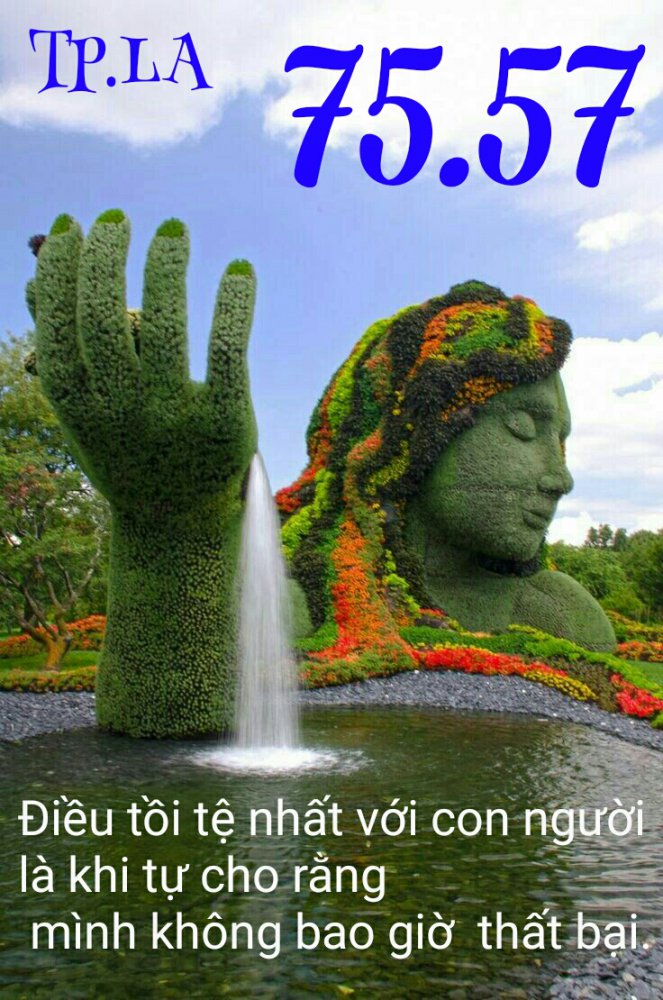 1503677678737.jpg