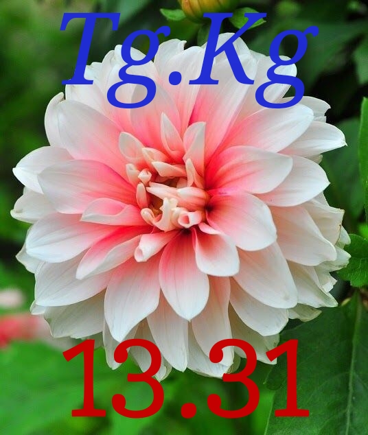 1507387484660.jpg