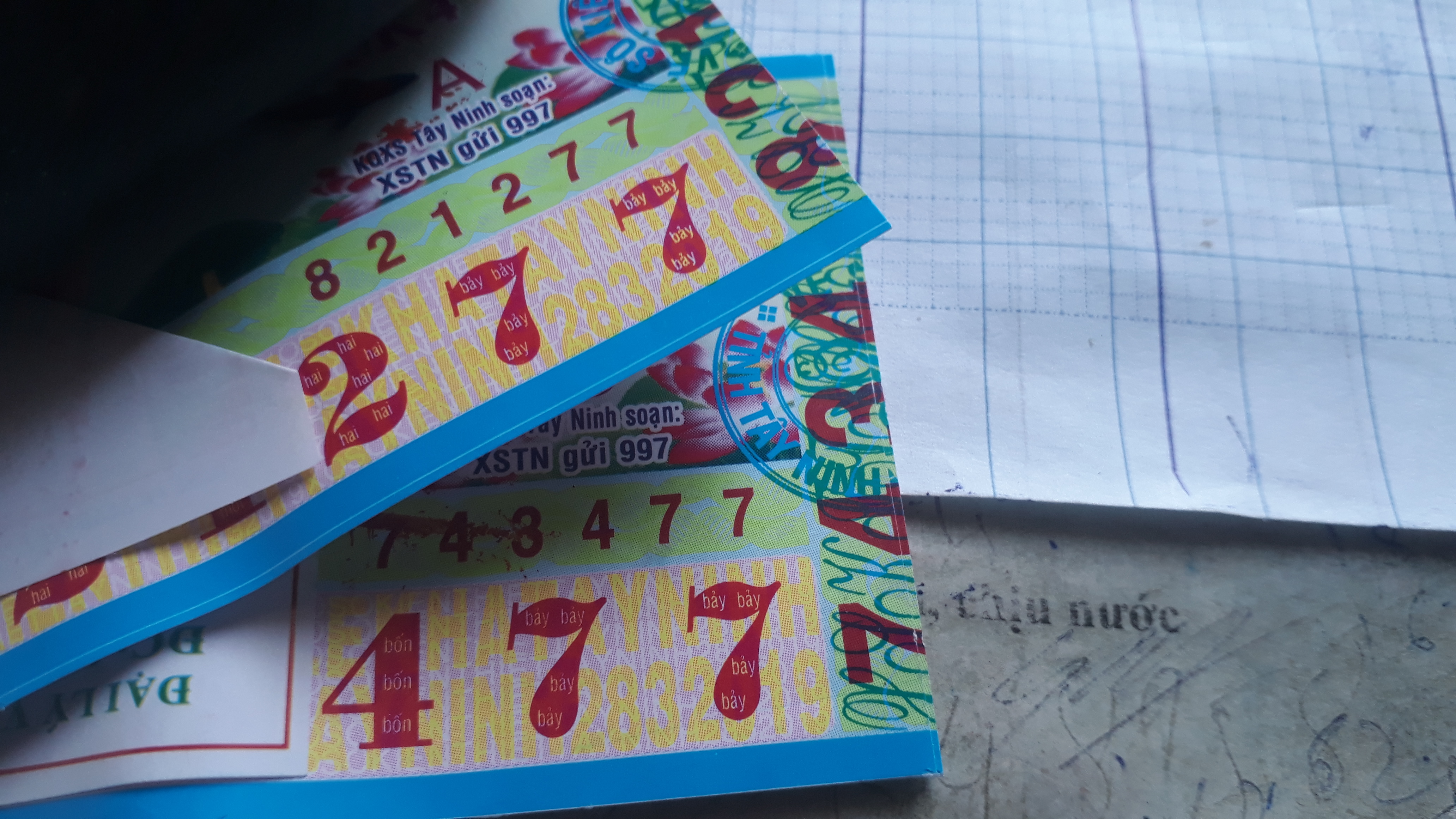 15537513825402018587693216876387.jpg