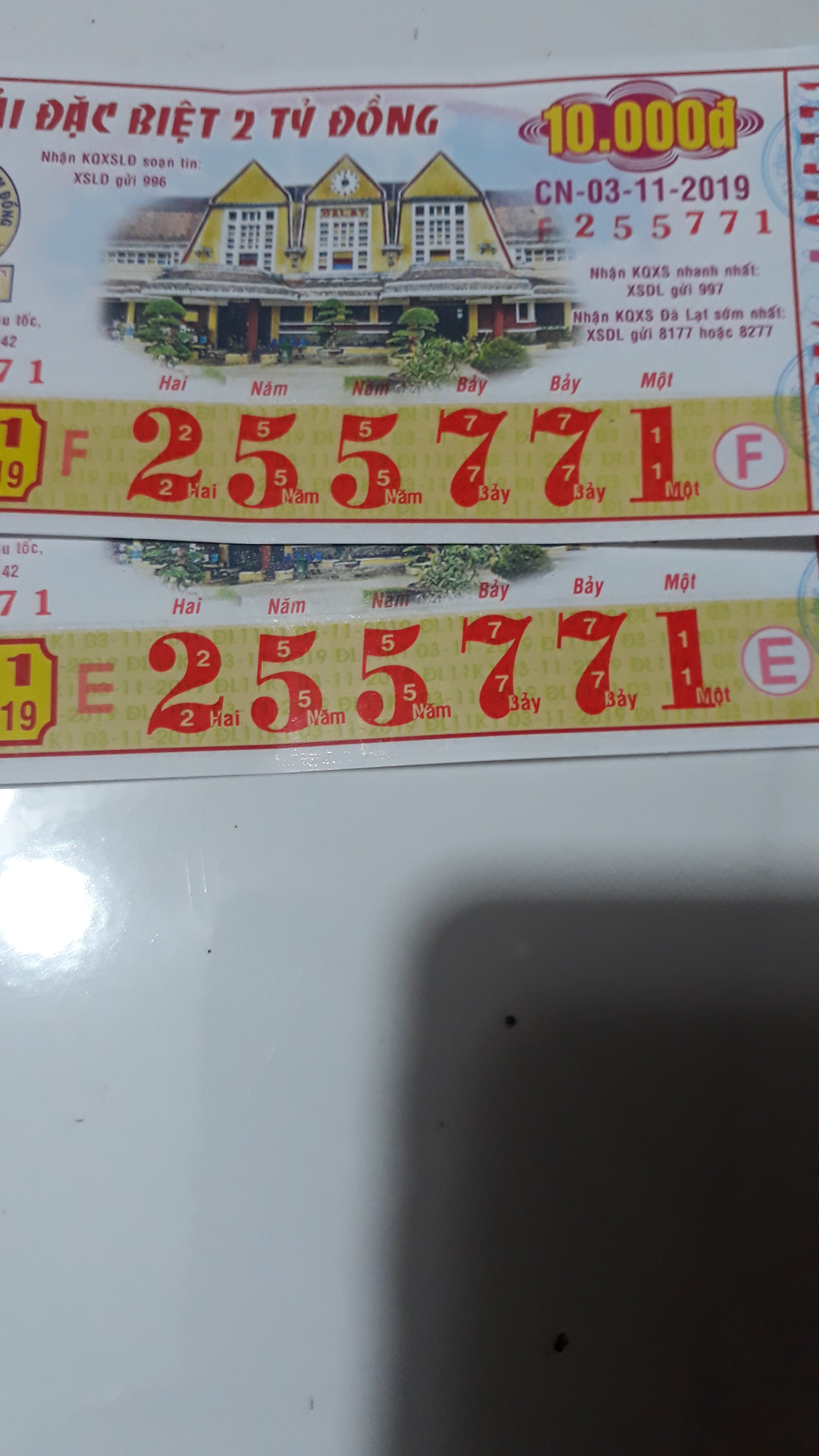 1572748556190916296791903670045.jpg