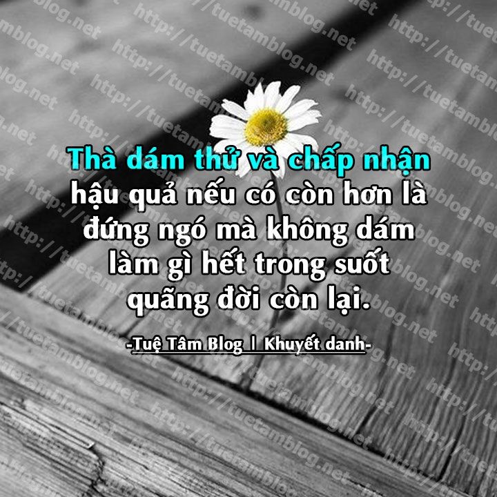 15c4260a9bc1d77087696215122453b7.jpg
