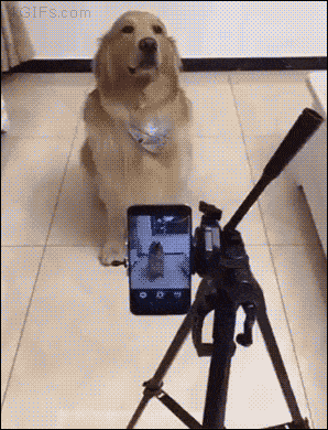 15d6bc21d66659a3831c5e691514be1d.gif