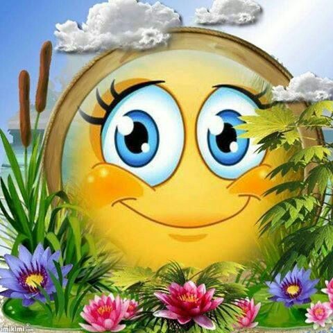 1655af9803b55d3c5cd04bec2afffbf6.jpg