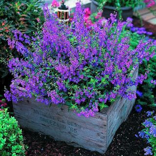 16d79c233db620e7e3ef469d15777e34.jpg