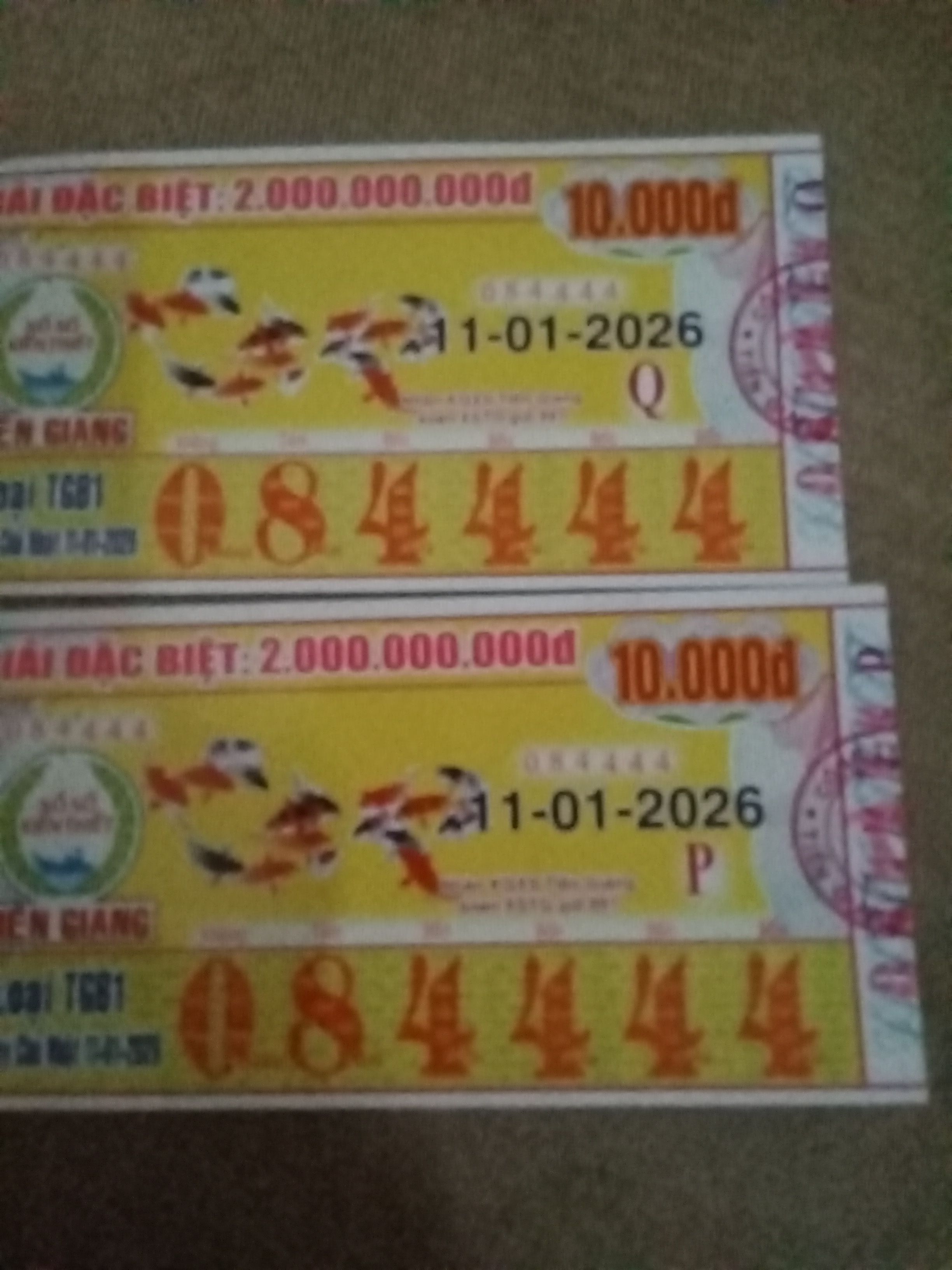 17681198119954603283374159969381.jpg