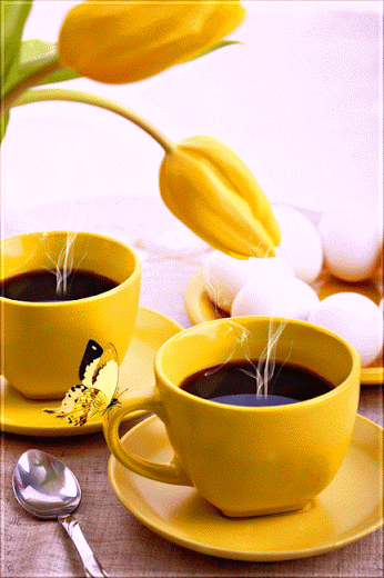 1804d29134041717fded1ac8a6a9a8e1.gif