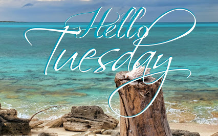 196672-Hello-Tuesday[1].jpg