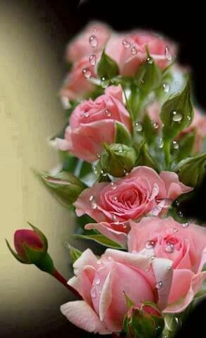 19faf96ec2df14e2f60a50f92b1a6a1a.jpg