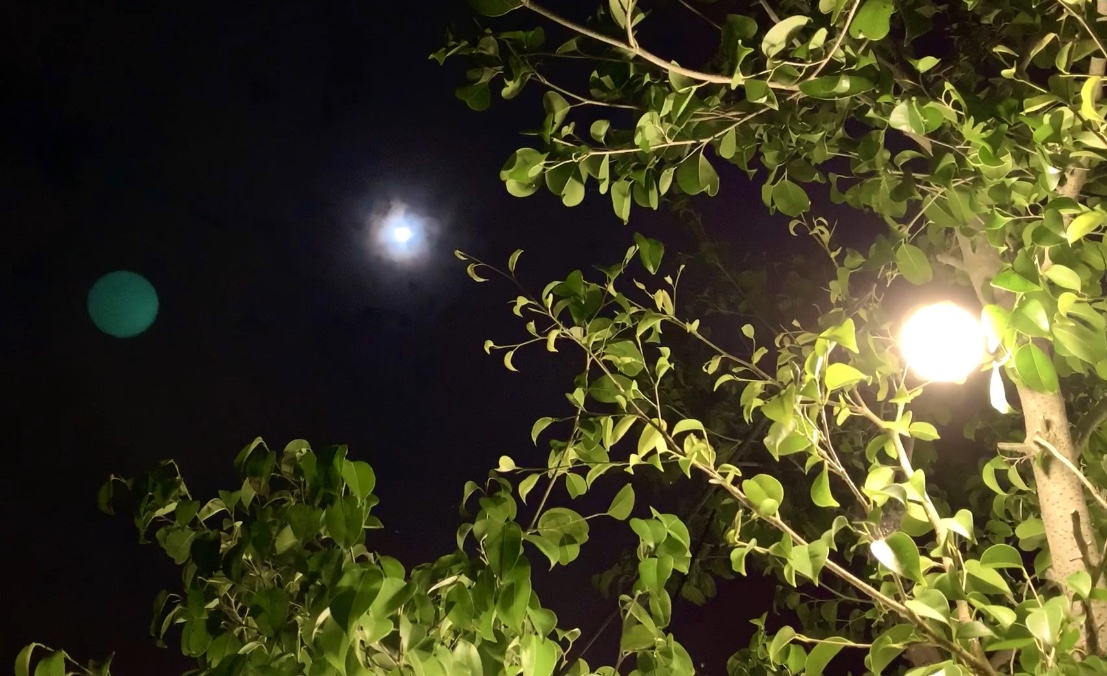 1AE6437E-DE55-438B-8201-17C3DF039E16.jpeg