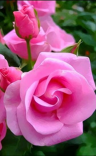 1b3f3f7acbeead1f3cb44705cb84a74c.jpg