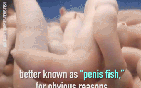 1BE04C82-2478-4453-979D-B52E5C9B29FC.gif