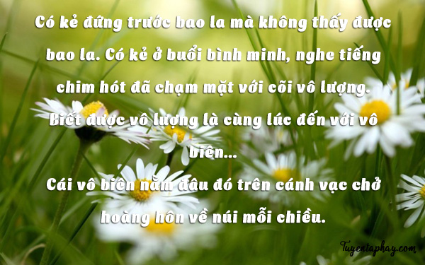 20-loi-noi-bat-hu-cua-nhac-si-trinh-cong-son-hinh-anh-10[1].jpg