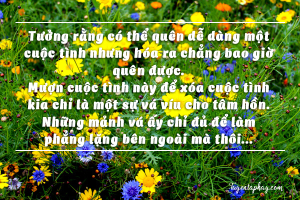 20-loi-noi-bat-hu-cua-nhac-si-trinh-cong-son-hinh-anh-12[1].jpg