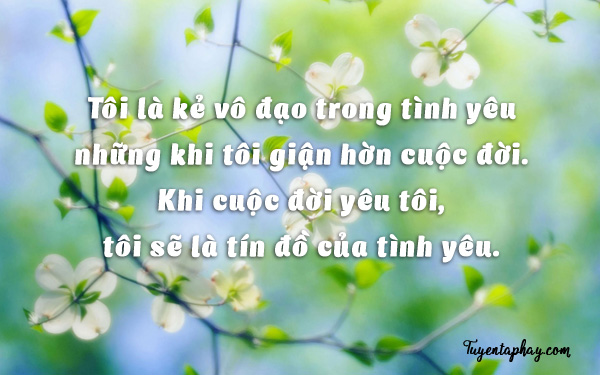 20-loi-noi-bat-hu-cua-nhac-si-trinh-cong-son-hinh-anh-18[1].jpg