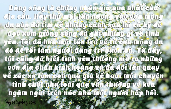 20-loi-noi-bat-hu-cua-nhac-si-trinh-cong-son-hinh-anh-19[1].jpg