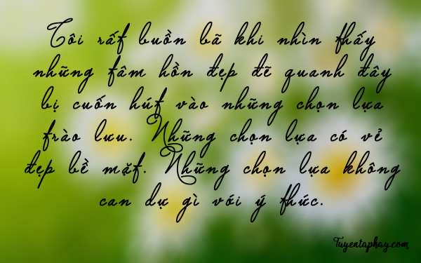 20-loi-noi-bat-hu-cua-nhac-si-trinh-cong-son-hinh-anh-3[1].jpg