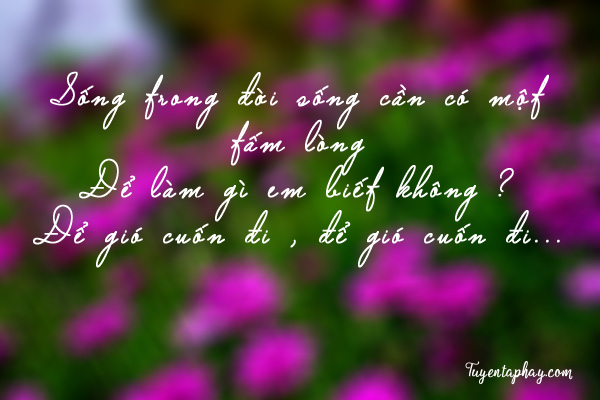 20-loi-noi-bat-hu-cua-nhac-si-trinh-cong-son-hinh-anh-4[1].jpg