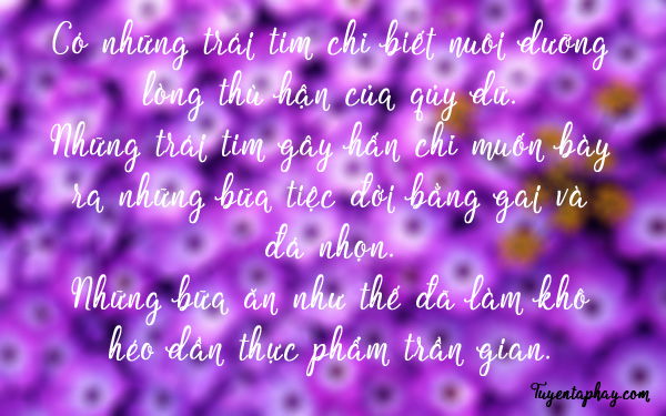 20-loi-noi-bat-hu-cua-nhac-si-trinh-cong-son-hinh-anh-6[1].jpg