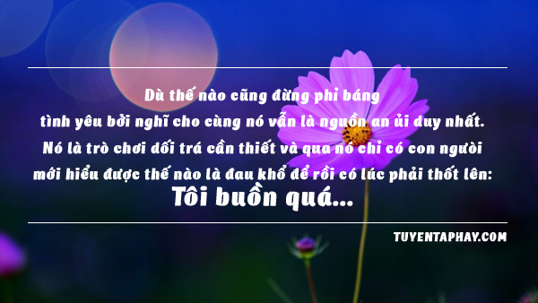 20-loi-noi-bat-hu-cua-nhac-si-trinh-cong-son-hinh-anh-8[1].jpg