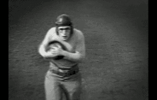 200 (1).gif