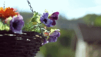 200w (5).gif