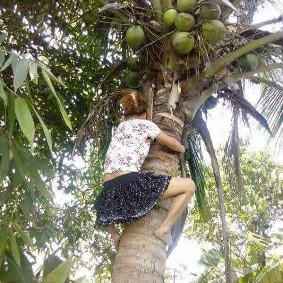 2016 - 1 (14) (1).jpg