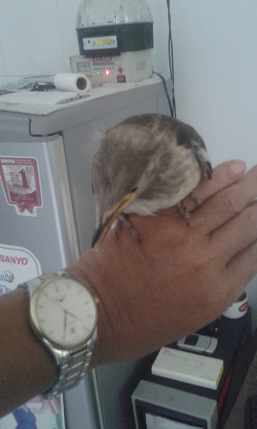 20160909_163418.jpg