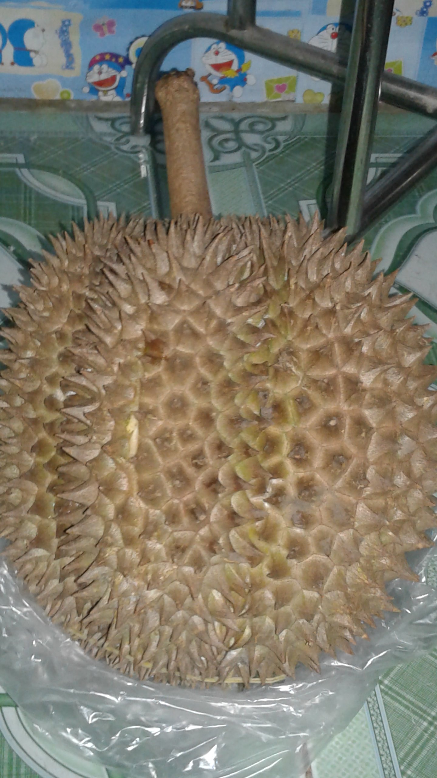 20160918_110355.jpg