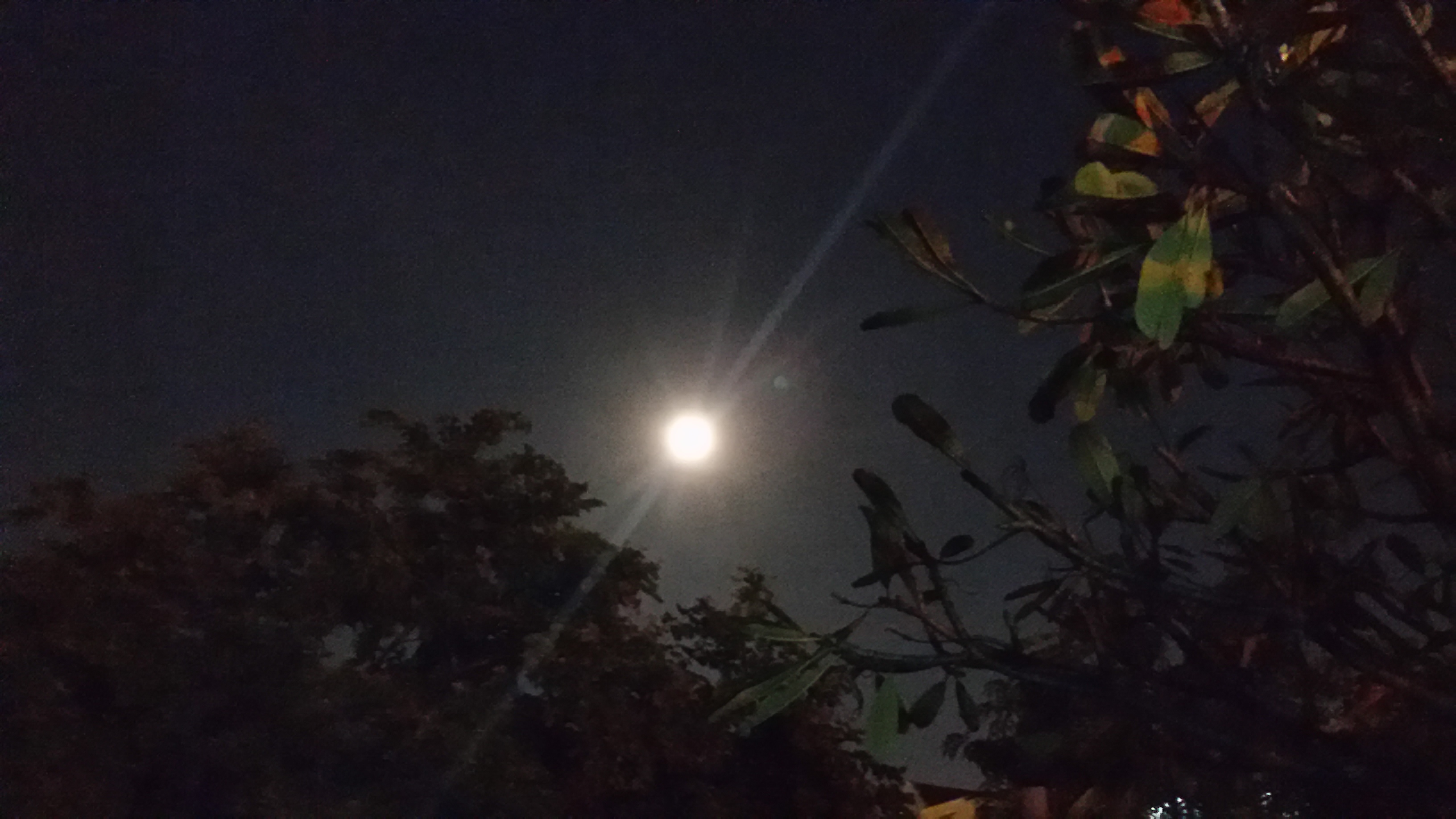 20161114_191721_LLS.jpg