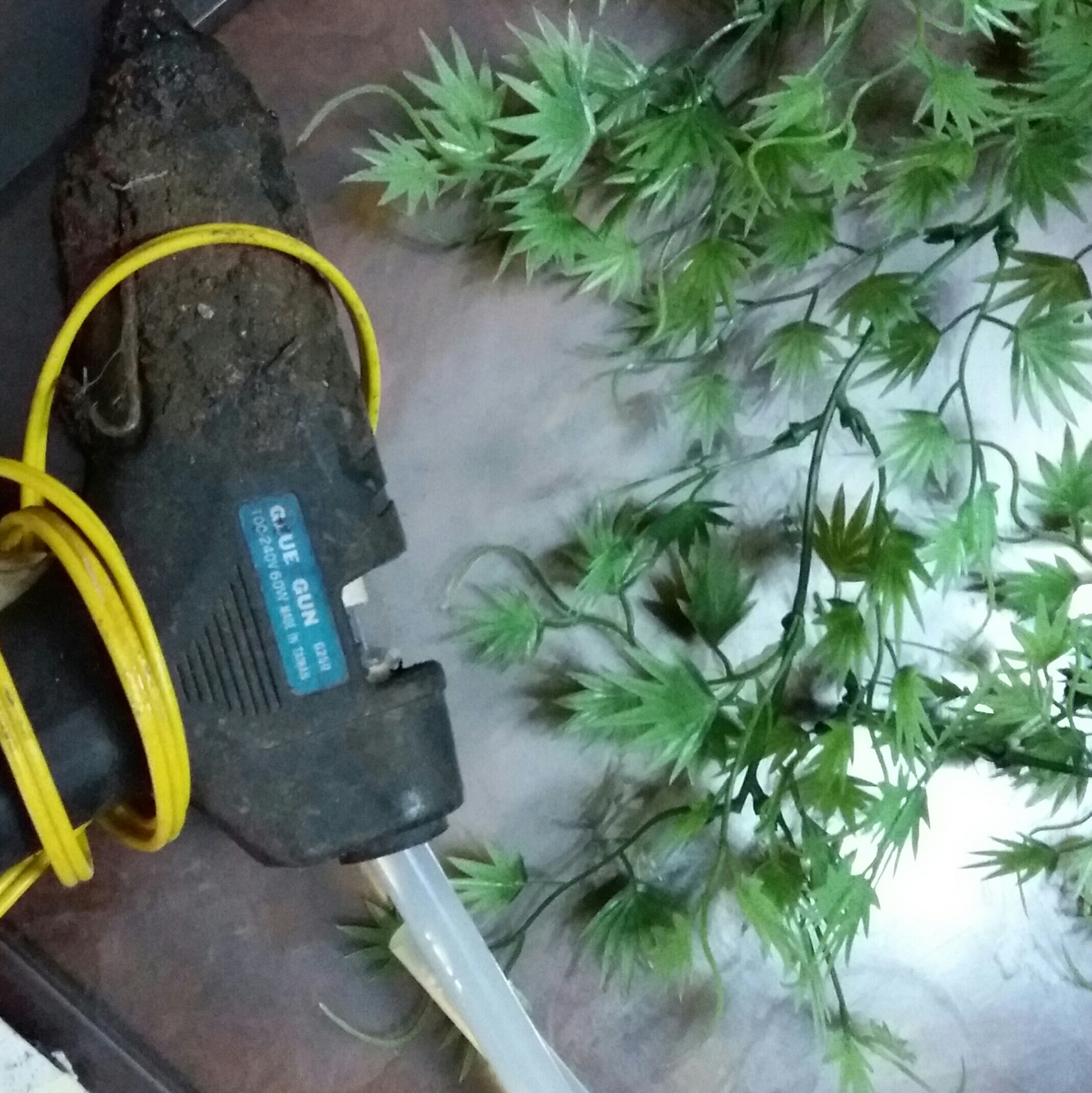 20161130_120432.jpg