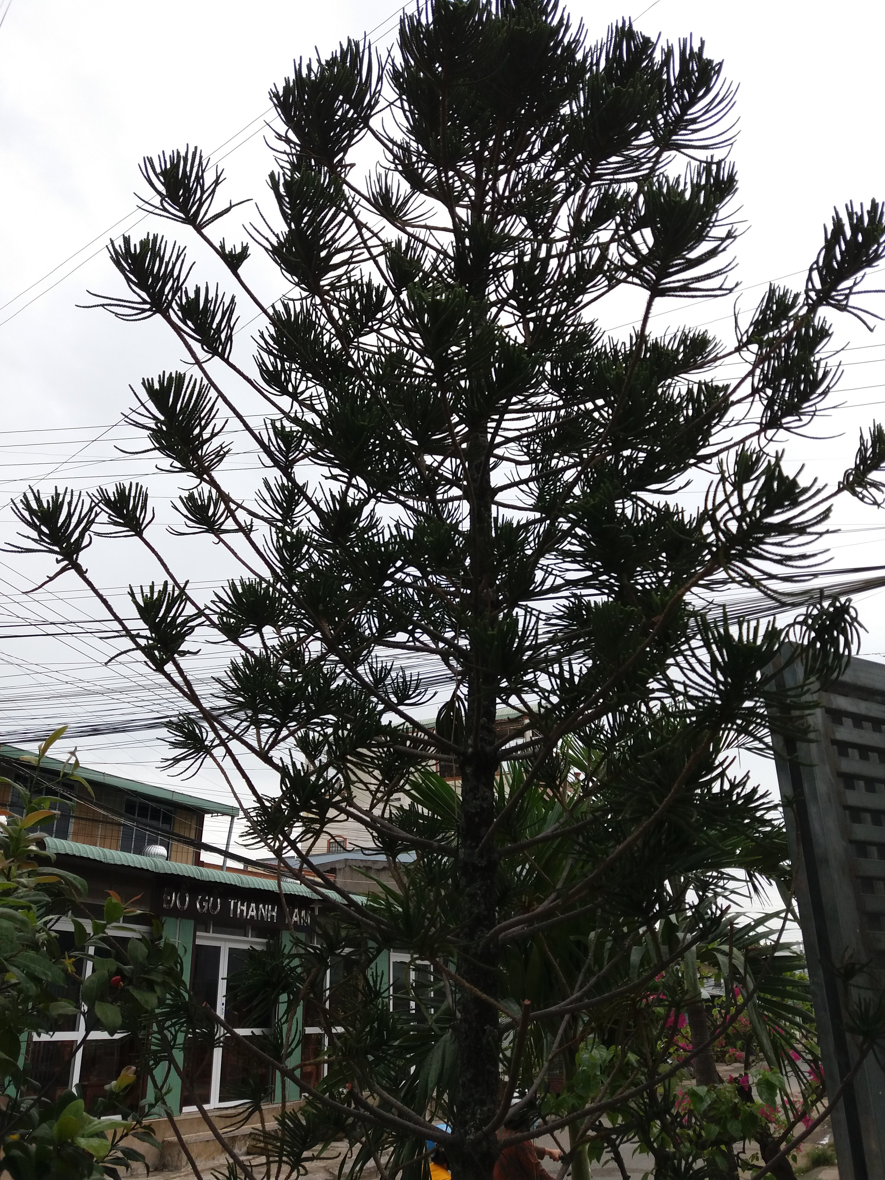 20161221_140720.jpg