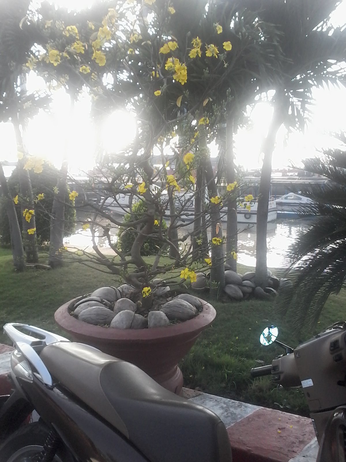 20170123_080330.jpg