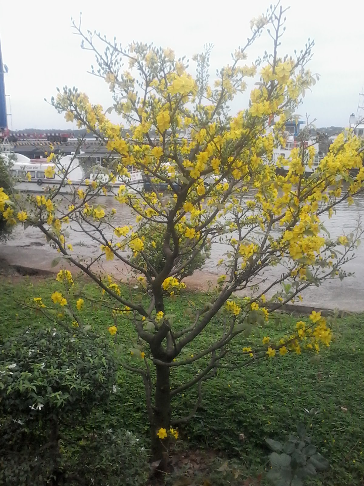20170124_074914.jpg