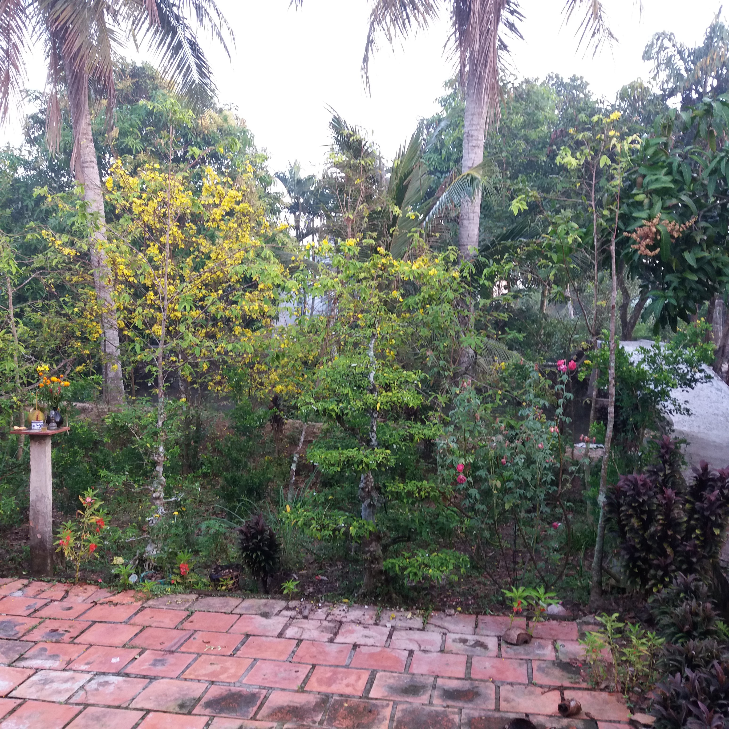 20170129_064620.jpg
