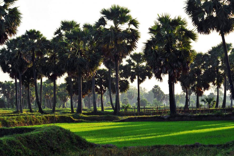 2018-01-17 21.58.36.jpg