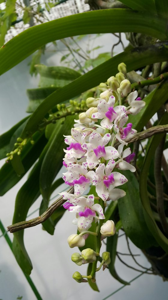 2018-01-17 22.16.20.jpg