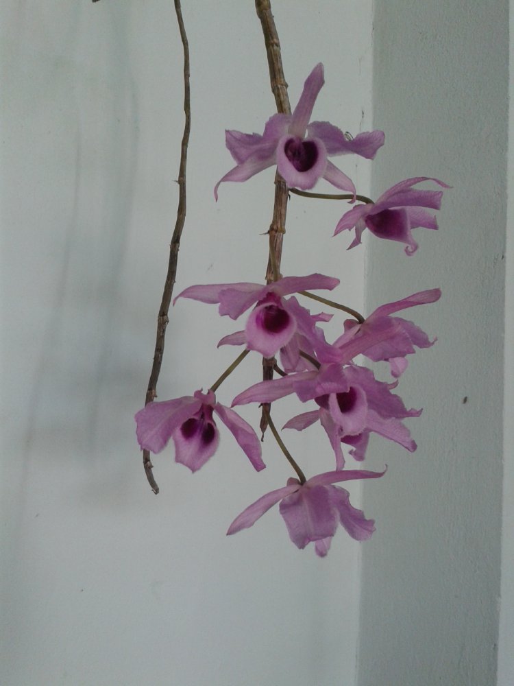 20180228_114148.jpg