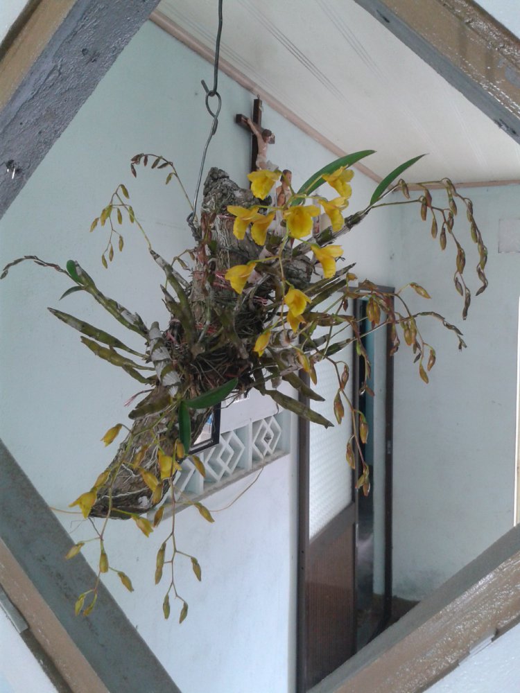20180228_114256.jpg