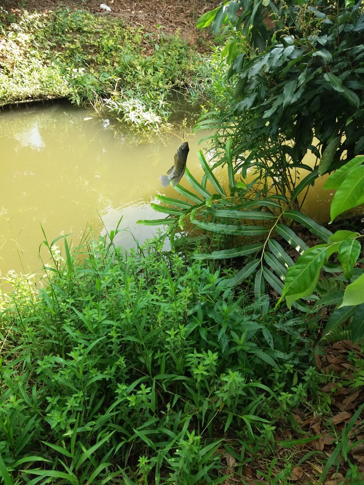20180429_091741.jpg