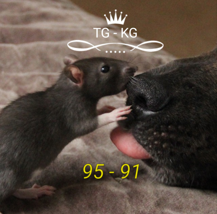 20180623_202203.png